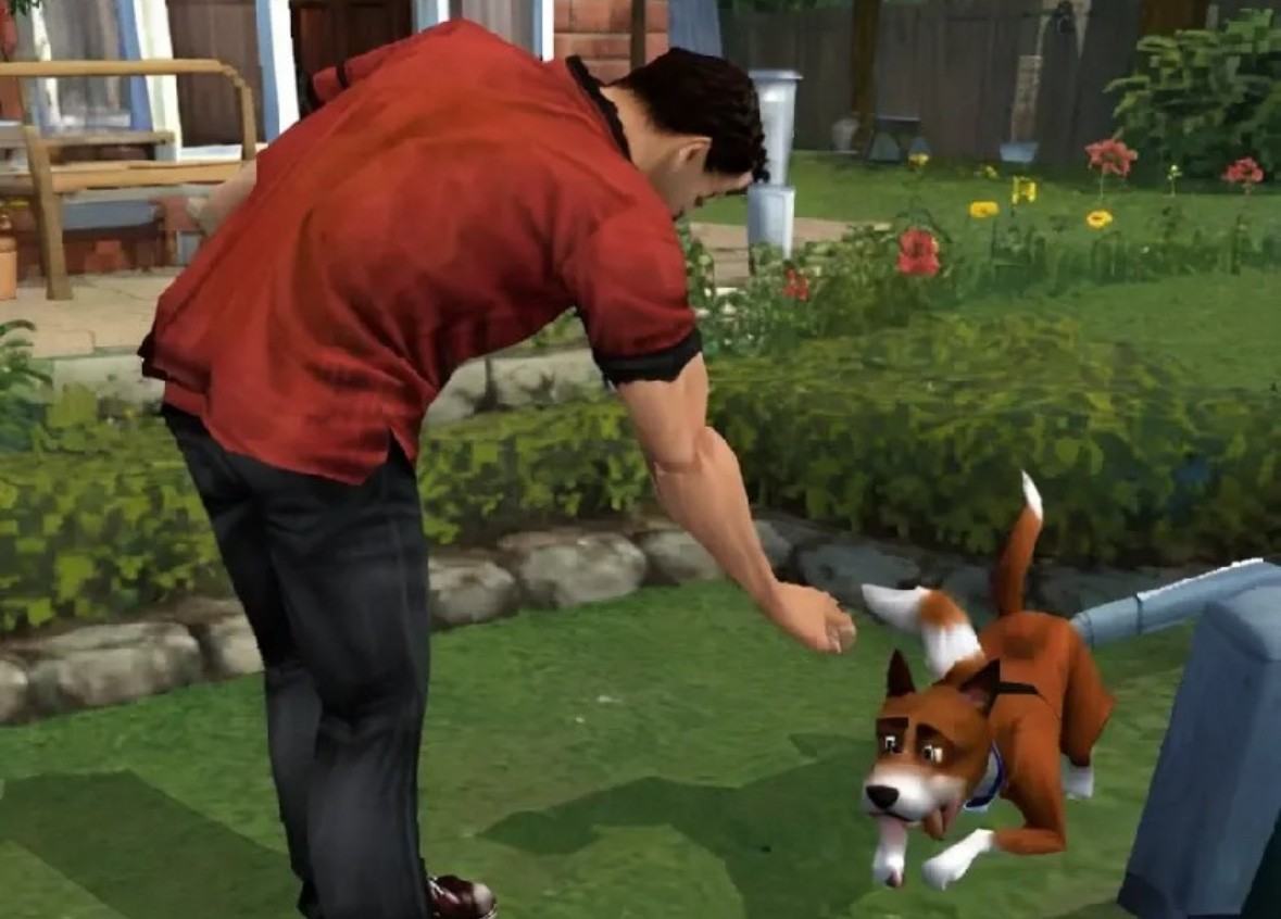 Game of Dog Petting